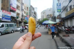 Astonishing Vietnam